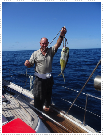 Mahi Mahi #2 Mahi Mahi #2